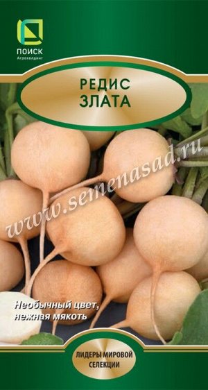 Редис Злата (ЦВ*) 3гр.