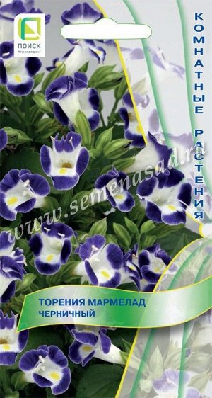 Торения Мармелад Черничный (ЦВ) ("К) 5шт