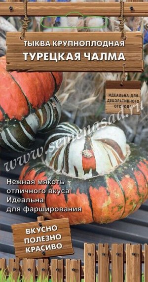 Тыква крупноплодная Турецкая чалма (декор. огород)  (ЦВ) 5шт.