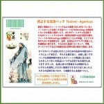 Токсиновыводящие пластыри Toxinet с агарикусом Japan