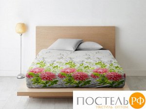 Простыня на резинке Ночь Нежна Астры (красн.) осн. 5563-2 Бязь 120гр.  160х200х20 полоса новая