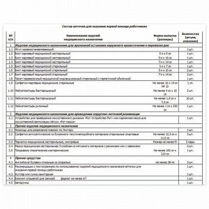 Аптечка первой помощи работникам, до 5 человек, переносной пластиковый футляр, состав - по приказу №169н, 10099