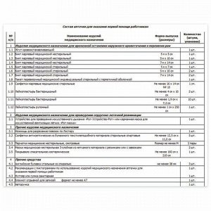 Аптечка первой помощи работникам, до 8 человек, навесной пластиковый футляр, состав - по приказу №169н, 10117