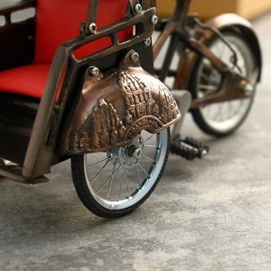 Сувенир из нержавеющей стали "Велосипед с каретой" 30х10х18 см