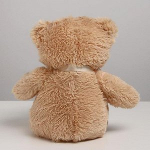 Мягкая игрушка «Медведь», цвета МИКС