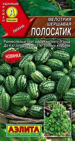 Мелотрия (Мышиная дыня) Полосатик (2023; 321.02.02)