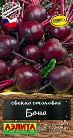 Свекла столовая Бона (Польша)