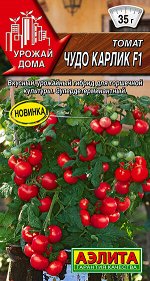 Томат Чудо карлик F1
