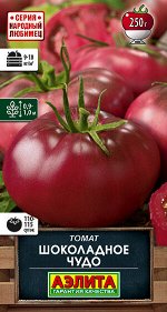 Томат Шоколадное чудо (2024; 16.24.01)