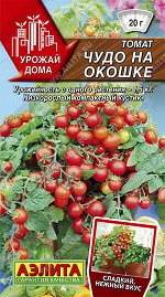 Томат Чудо на окошке (2024; 16.915.01)