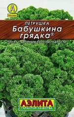 Петрушка кудрявая Бабушкина грядка (2023; 15.34.06)