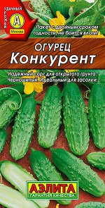 Огурец Конкурент (2024; 12.14.60)