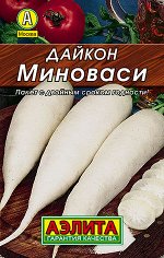 Дайкон Миноваси (2023; 20.06.29)