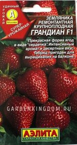 Земляника ремонтантная крупноплодная Грандиан F1 (2023; 06.51.03)