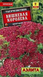 Тысячелистник Вишневая королева (2023; 191.01.22)
