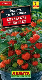 Физалис  Китайские фонарики (2023; 29.06.01)