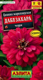 Цинния Дабл Захара черри (2023; 211.168.01)