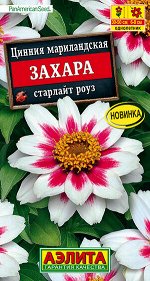 Цинния Захара старлайт роуз (2023; 211.174.01)