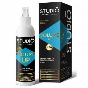 Спрей для объёма волос Studio Professional Volume Up, для прикорневой зоны, 200 мл