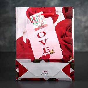 Пакет ламинированный «Любовь», 18 х 23 х 8,5 см