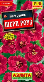 Настурция Шери Роуз карликовая (2023; 151.03.29)