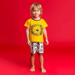 Пижама для мальчика "Лев", рост 110-116 см, цвет жёлтый/серый