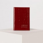 Обложка для автодокументов, цвет красный