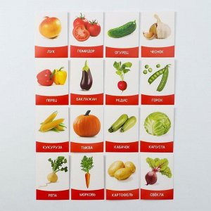 Обучающие карточки «Изучаем английский. Овощи», 16 штук, 3+
