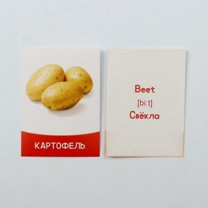Обучающие карточки «Изучаем английский. Овощи», 16 штук, 3+