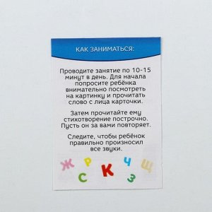 Обучающие логопедические карточки «Говорим буквы С и З», размер карточек 63 × 87 мм