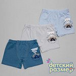 Боксеры