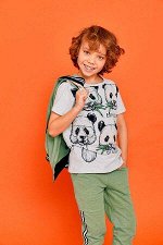Комплект джемпер (толстовка) на молнии, футболка (фуфайка), брюки д/мал Juno E38603-31COZ Zoo оливковый/серый