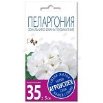 ЛцК/пеларгония Снежана белая низкоросл F1 *4шт