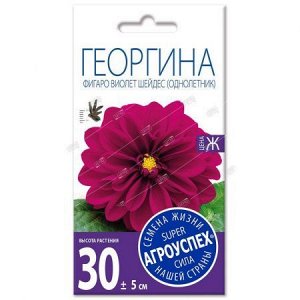 Лц/георгина Фигаро Виолет Шейдес О *7шт