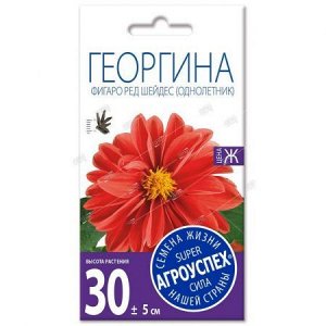 Лц/георгина Фигаро Ред Шейдес О *7шт