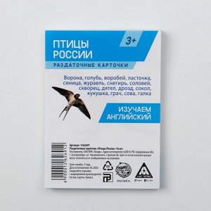 Обучающие карточки «Изучаем английский. Птицы России», 16 штук, 3+