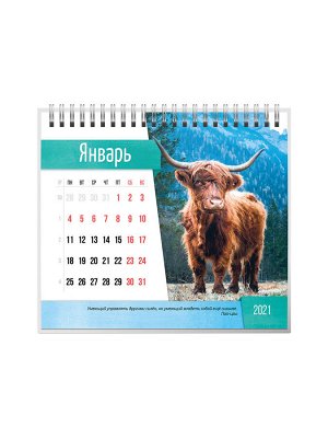 9785001583097 Календарь-домик (евро) "Символ года 2" на 2021 год