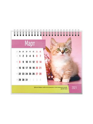 9785001583103 Календарь-домик (евро) "Кошки" на 2021 год