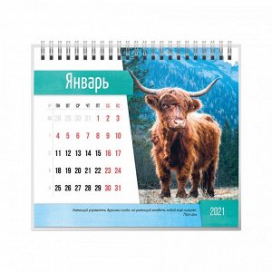 9785001582670 Календарь-домик (евро) "Символ года 2. Маркет" на 2021 год