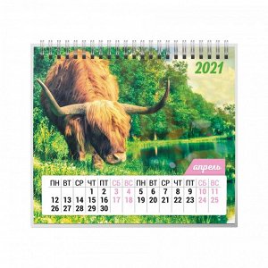 9785001582663 Календарь-домик (евро) "Символ года 1. Маркет" на 2021 год