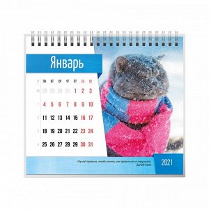 9785001582687 Календарь-домик (евро) "Породистые кошки. Маркет" на 2021 год
