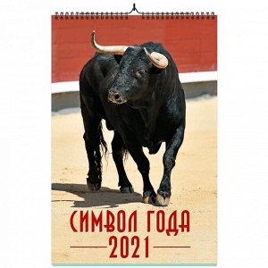 9785001582793 Календарь на спирали "Символ года 2. Маркет" на 2021 год