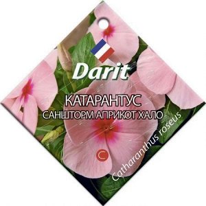 Дц/катарантус Саншторм Априкот Хало О *10шт