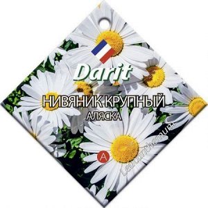 Дц/нивяник крупный Аляска М *0,3г