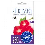 Лц/ипомея Скарлет О&#039;Хара О*1г (300)