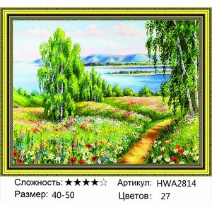 PAITING DIAMOND алмазная мозаика Мозаика круглая 40х50 см