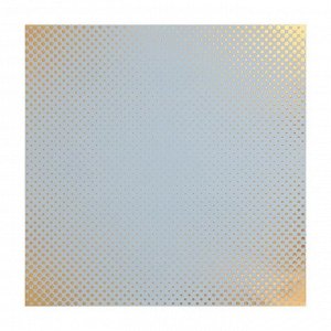 Набор бумага для скрапбукинга с фольгированием «Мечты», 30.5 x 30.5 см, 10 листов 250 г/м