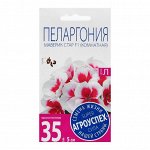 Семена цветов Пеларгония &quot;Маверик Стар&quot;, F1, 4 шт