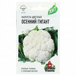 Семена Капуста цветная &quot;Осенний гигант&quot;, 0,3 г серия ХИТ х3