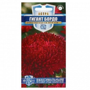 Семена цветов Астра "Гигант бордо", однолетняя, серия Русский богатырь,  0,1 г